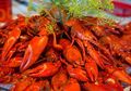 Berita Kesehatan Kecacingan: Kepiting dan Lobster yang Tidak Dimasak Matang Bisa Sebabkan Infeksi Cacing Pipih
