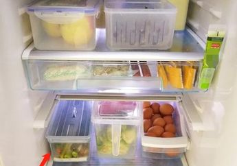 Tak Perlu Gunakan Pisau untuk Bersihkan Freezer, Tinggal Lakukan 5 Langkah Ini Es Langsung Cair!