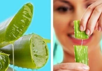 Super Gampang! Begini Cara Alami Bikin Alis Lebih Tebal Pakai Lidah Buaya!