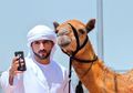 Himbauan Kepada Jemaah Haji Dilarang 'Selfie' dengan Unta, Alasannya?