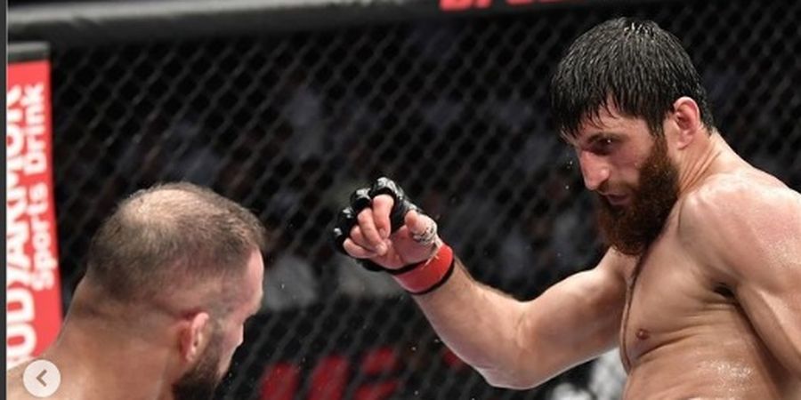 Siap-siap, UFC Sabung Monster Dagestan Gacoan Khabib dengan Si Palu Godam