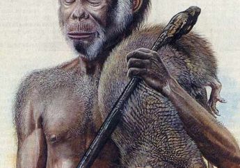 Apa Saja Satwa yang Menemani Homo floresiensis di Sekitar Liang Bua?