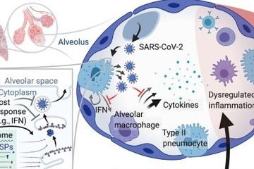 Cytokine storm Circus Covid-19.