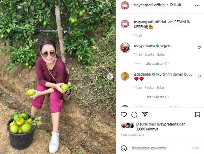 Postingan Mayangsari