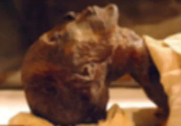 Memalsukan Diri Sebagai Pria dan Berselingkuh, Rahasia Firaun Mesir Makam Ratu Hatshepsut Terungkap