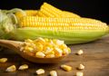 Dikenal sebagai Kuliner Favorit Bung Karno, Faktanya Nasi Jagung Ampuh Jadi Penangkal Sederet Penyakit Mengerikan