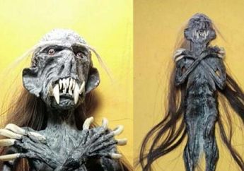 Diklaim Haus Darah Satu Tetes Setiap Hari dan Dapat Layani Tuannya dalam Berbagai Cara, Bagaimana Asal-usul Makhluk 'Mistis' Jenglot Ini? Asalnya dari Tubuh yang Tak Diterima Bumi?