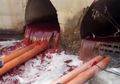 Rekaman Menakutkan, Sungai di Israel Mendadak Berubah Jadi Aliran Darah Merah 'Seperti Wabah Alkitabiah tentang Mesir,' Apa yang Terjadi?