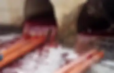 Rekaman Menakutkan, Sungai di Israel Mendadak Berubah Jadi Aliran Darah Merah 'Seperti Wabah Alkitabiah tentang Mesir,' Apa yang Terjadi?