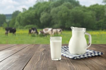 7 Manfaat Susu Bagi Manusia, Banyak Tertutupi Oleh Kandungan Kalsiumnya, Padahal Bisa juga Untuk Masalah PMS