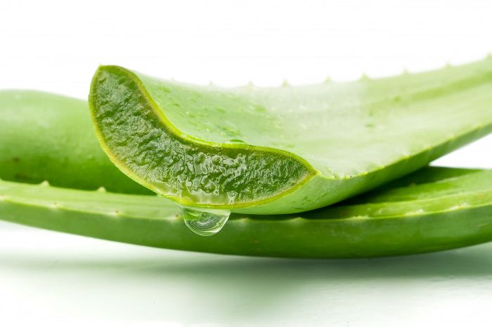 Lidah buaya dijadikan jus, rasakan manfaat yang tak terkiranya.