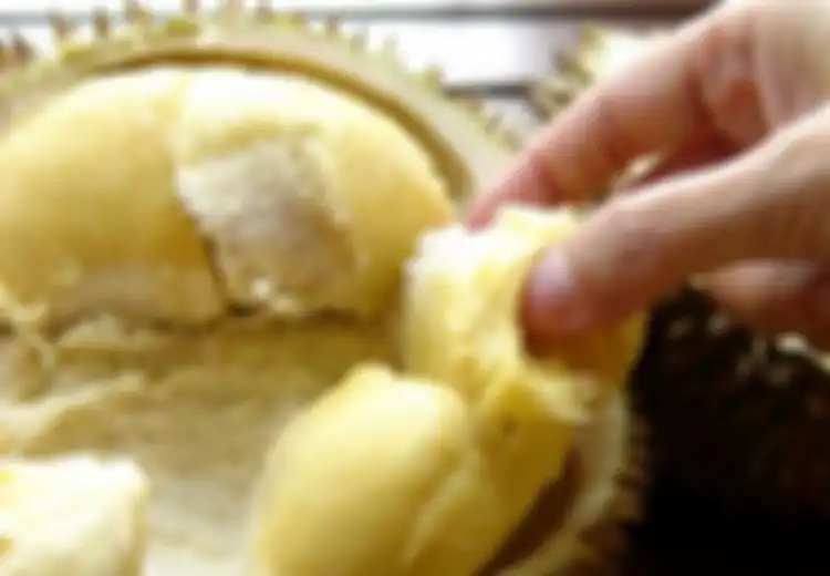Walah, Gara-gara Bau Durian Ratusan Orang di Australia Dievakuasi Sampai Panggil Pemadam Kebakaran