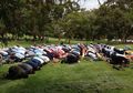 Muslim Australia Rapatkan Barisan Untuk Shalat Meminta Hujan, Luar Biasa, Keajaiban Hujan Datang Setelahnya dan Hal Menakjubkan Terjadi