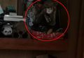 Kerap Mendengar Jeritan Aneh dari Kamar Anggota Keluarganya yang Sudah Meninggal, Keluarga Ini Terkejut Menemukan Kebenarannya Tak Seseram yang Dibayangkan