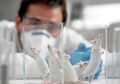 Antibodi 47D11 Telah Diuji Coba ke Tikus, Efektif Netralkan Virus Corona