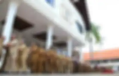 Kabar Baik Menjelang Lebaran, Gaji ke-13 PNS Lebih Besar dari THR, Segini Jumlahnya!