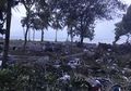 Lolos dari Amukan Gelombang Tsunami, Orang-orang Ini Ditemukan di Lokasi Tak Terduga, Semuanya Selamat Tanpa Luka Berarti