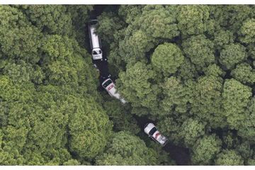 Ditemukan di Hutan dalam Kondisi Mengenaskan, Bintang Film Dewasa ...