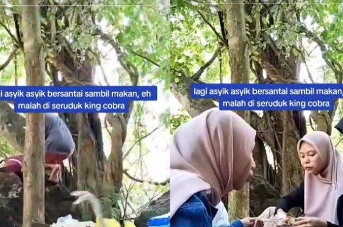 
Remaja ini syok saat tiba-tiba melihat kedatang ular king cobra saat piknik