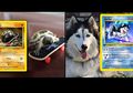 Lucu! Seniman Brasil Sulap Hewan-hewan Peliharaan Jadi Kartu Pokemon