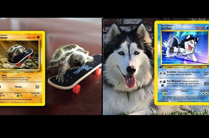 460 Koleksi Semua Gambar Hewan Peliharaan Gratis Terbaru