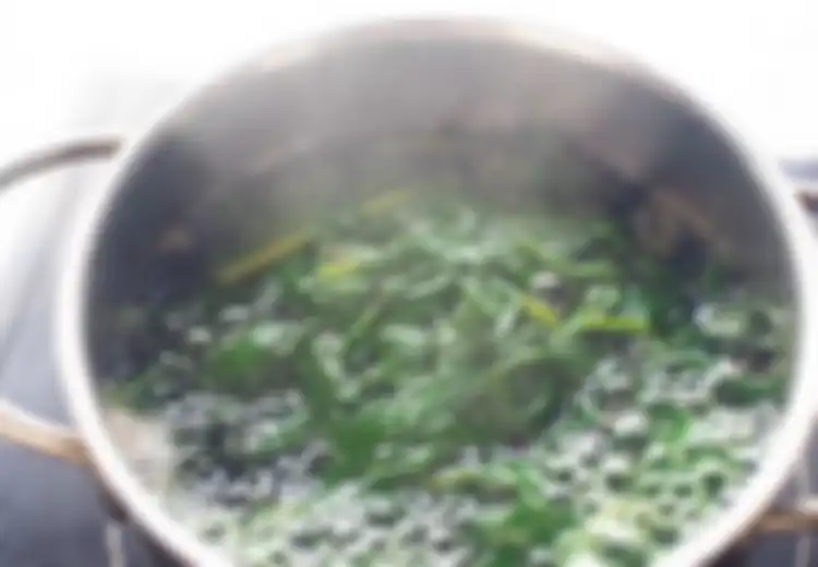 Suami Dee Lestari Meninggal Dunia Lantaran Stroke, Atasi Penyakit yang Dapat Menyerang Siapa Saja Ini dengan Minum Air Rebusan Daun Berikut...