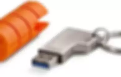 Flash Disk