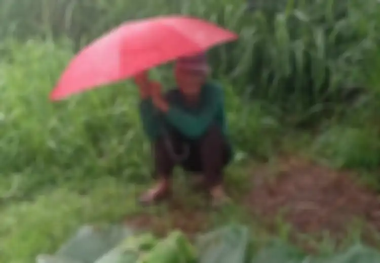 Di Bawah Rintik Hujan, Kakek ini Tetap Berusaha Jual Sayuran untuk Makan Keluarganya