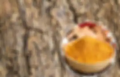 7 Hal Tak Terduga yang Sebenarnya Bisa Kita Makan, Ada Kulit Pohon Hingga dan Sarang Burung, Mau Coba?
