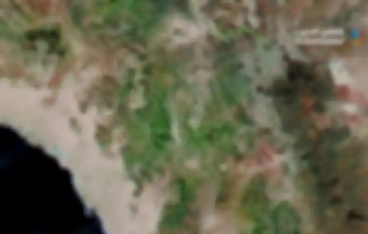 Tangkapan layar citra satelit yang menunjukkan kawasan di barat Kota Madinah, Arab Saudi, yang berubah menjadi hijau.