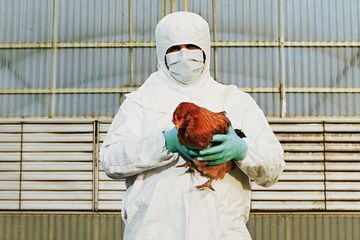 WHO mendesak adanya vaksin H5N1 untuk mausia.