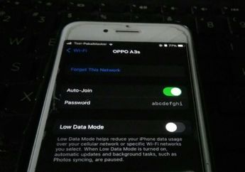 Cara Melihat Password WiFi di iPhone dan iPad iOS 16, Gampang Banget!
