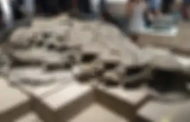 Panjangnya Capai 7 Meter, Fosil Makhluk Zaman Purba Ini Ditemukan Awet hingga ke Isi Perutnya, Seperti Apa?
