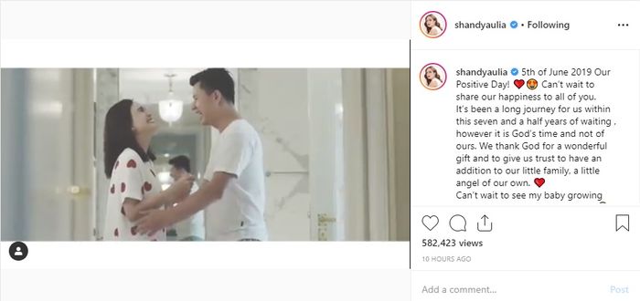 Shandy Aulia umumkan kehamilan