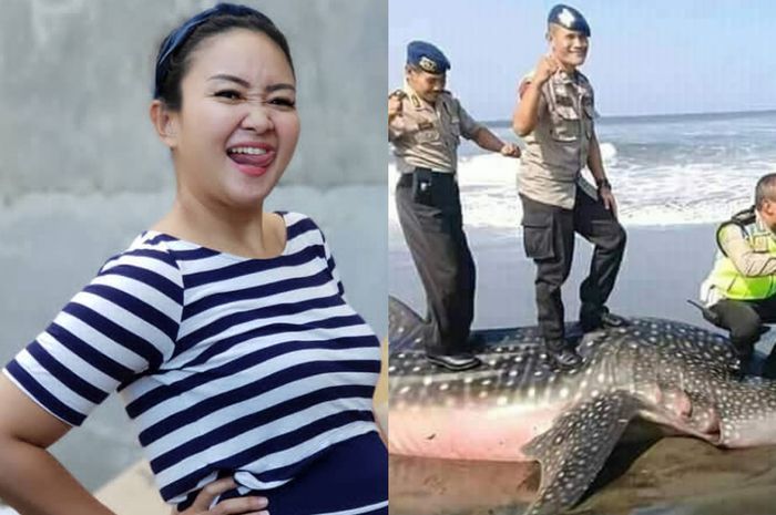 7600 Cara Membuat Kolase Ikan Hiu Gratis