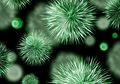 Jangan Keliru, Ini Bedanya Bakteri dan Virus yang Sebabkan Penyakit