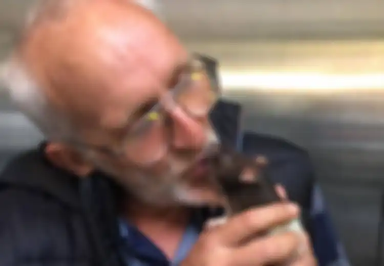 Momen Mengharukan Ketika Seorang Tunawisma Bertemu dengan Tikus Peliharaannya yang Hilang Dicuri Orang