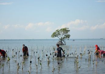 Pelajar Diajak Jadi Pahlawan Lingkungan di Program CarbonX dan Yayasan Indonesia Indah