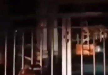 Viral Seorang Bocah Perempuan Datangi Sekolahnya Malam Hari Sambil Menangis Gegara Rindu Sekolah