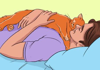 Ternyata Begini 10 Cara Kucing Menyampaikan Kalimat ‘I Love You’!