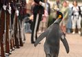 Tak Kalah dari Manusia, Hewan-hewan ini Punya Karier Militer yang Sangat Cemerlang