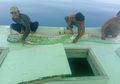 Beredar Potret Nelayan 'Dihampiri' Ikan yang Disebut Membawa Pesan Bakal Terjadi Gempa Besar dan Tsunami, Begini Penjelasan BMKG