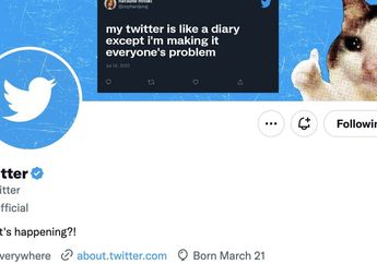 Verifikasi Twitter Blue Bermasalah, Nitendo dan Valve Kena Imbasnya