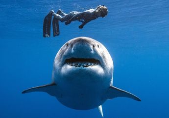 10 Foto Nyata yang Dikira Hanya Bisa Kita Lihat di Film Saja!