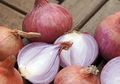 Nyesel Baru Tahu! Selain Bisa Musnahkan Uban di Kepala, Bawang Merah Juga Ampuh Mengatasi Kebotakan Rambut, Seperti Ini Caranya