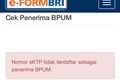 NIK Tak Terdaftar di eform.bri.co.id, Dana BLT UMKM Rp 2,4 Juta Tetap Bisa Cair? Begini Penjelasannya