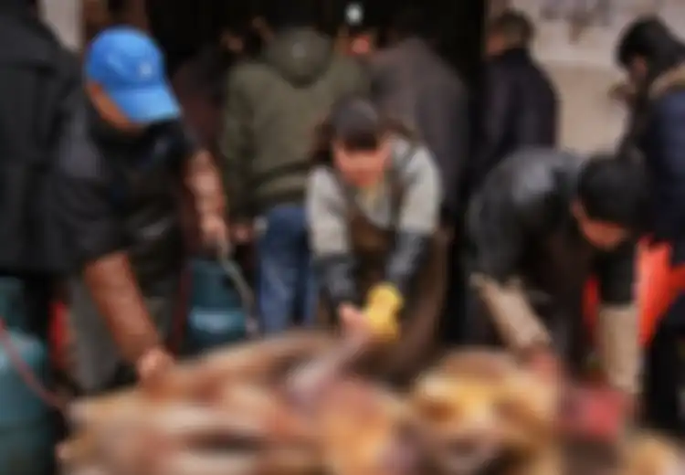 'Kolam Darah' dalam Perdagangan Daging Anjing China yang Brutal, Anjing Hidup Dipotong-potong dan Dihancurkan untuk Camilan: Daging Semakin Berkualitas Jika Dipotong Hidup-hidup