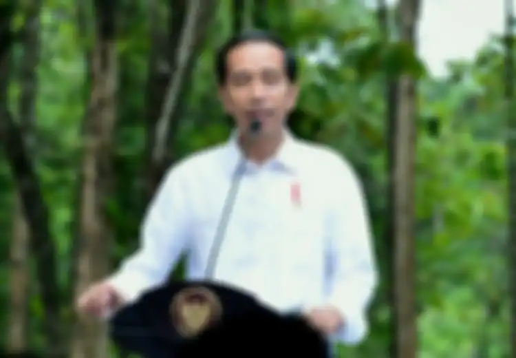 Presiden Jokowi Akan Umumkan Ibu Kota Baru Saat Pidato Kenegaraan, Asal…