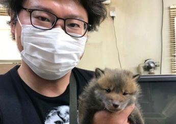 Seorang Pria Memungut Anak Anjing Mungil yang Terlantar di Jalan, Setelah Dipelihara Ternyata Bukan Anjing Melainkan Hewan Ini...