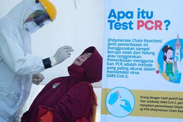 Bisnis PCR ;laba bersihnya hingga Rp84 miliar lebih.